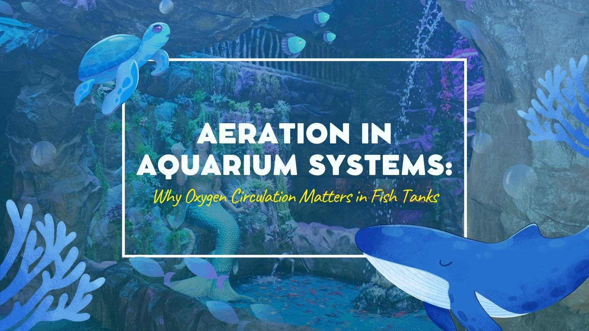 Aeration in Aquarium Systems: Why Oxygen Circulation Matters in Fish Tanks (2026)